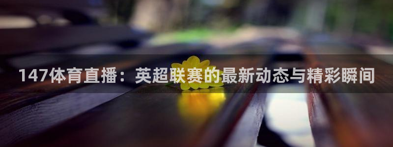 147体育直播：英超联赛的最新动态与精彩瞬间