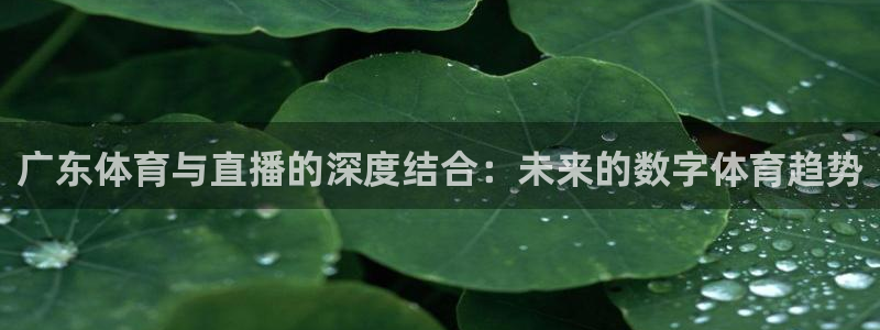广东体育与直播的深度结合：未来的数字体育趋势