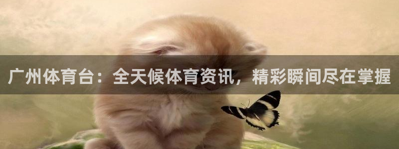 广州体育台：全天候体育资讯，精彩瞬间尽在掌握