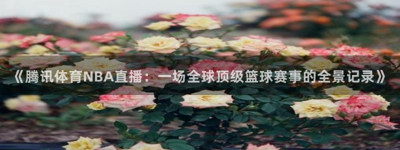 《腾讯体育NBA直播：一场全球顶级篮球赛事的全景记录》