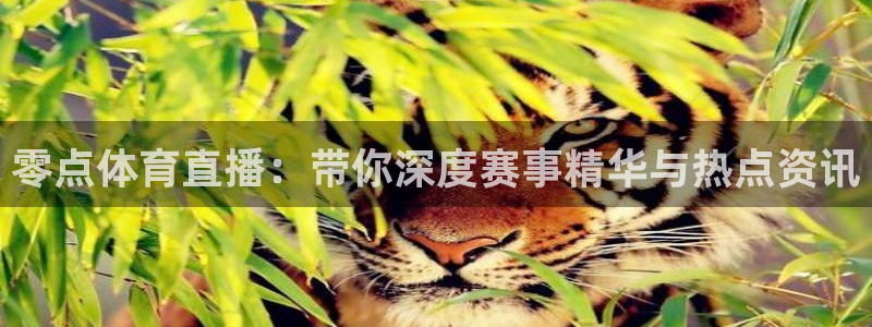 零点体育直播：带你深度赛事精华与热点资讯
