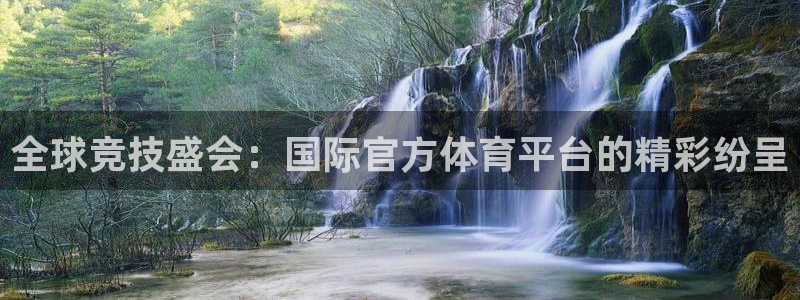 全球竞技盛会：国际官方体育平台的精彩纷呈