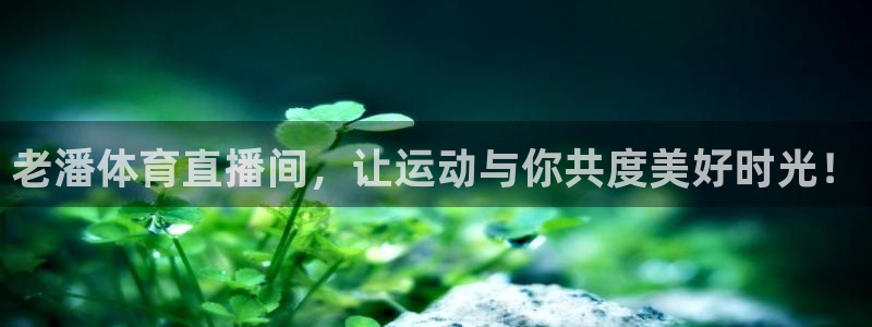 老潘体育直播间，让运动与你共度美好时光！